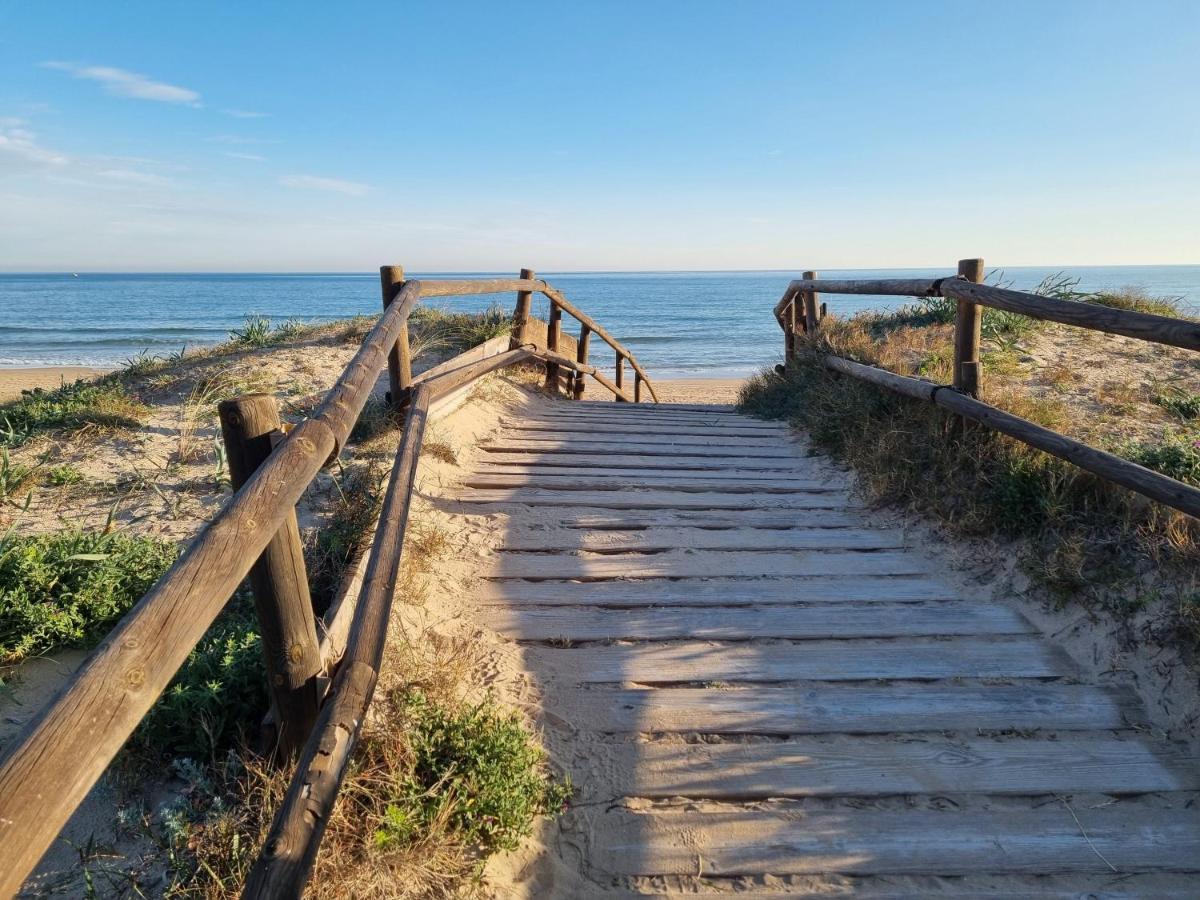 Hello Oliva Beach Ana 외부 사진